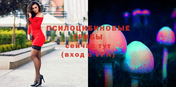 прущие крисы Аркадак